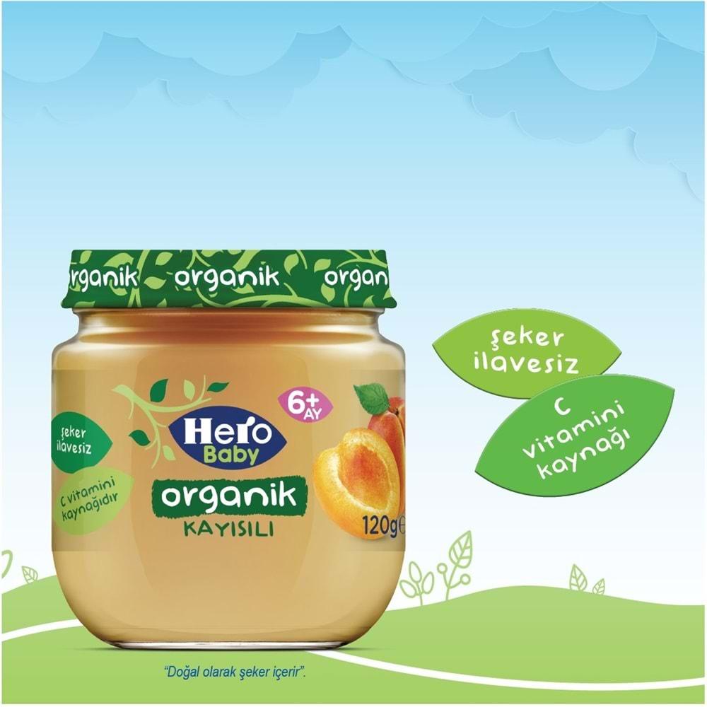 Hero Baby Kavanoz Maması 120GR Organik Kayısılı (3 Lü Set)