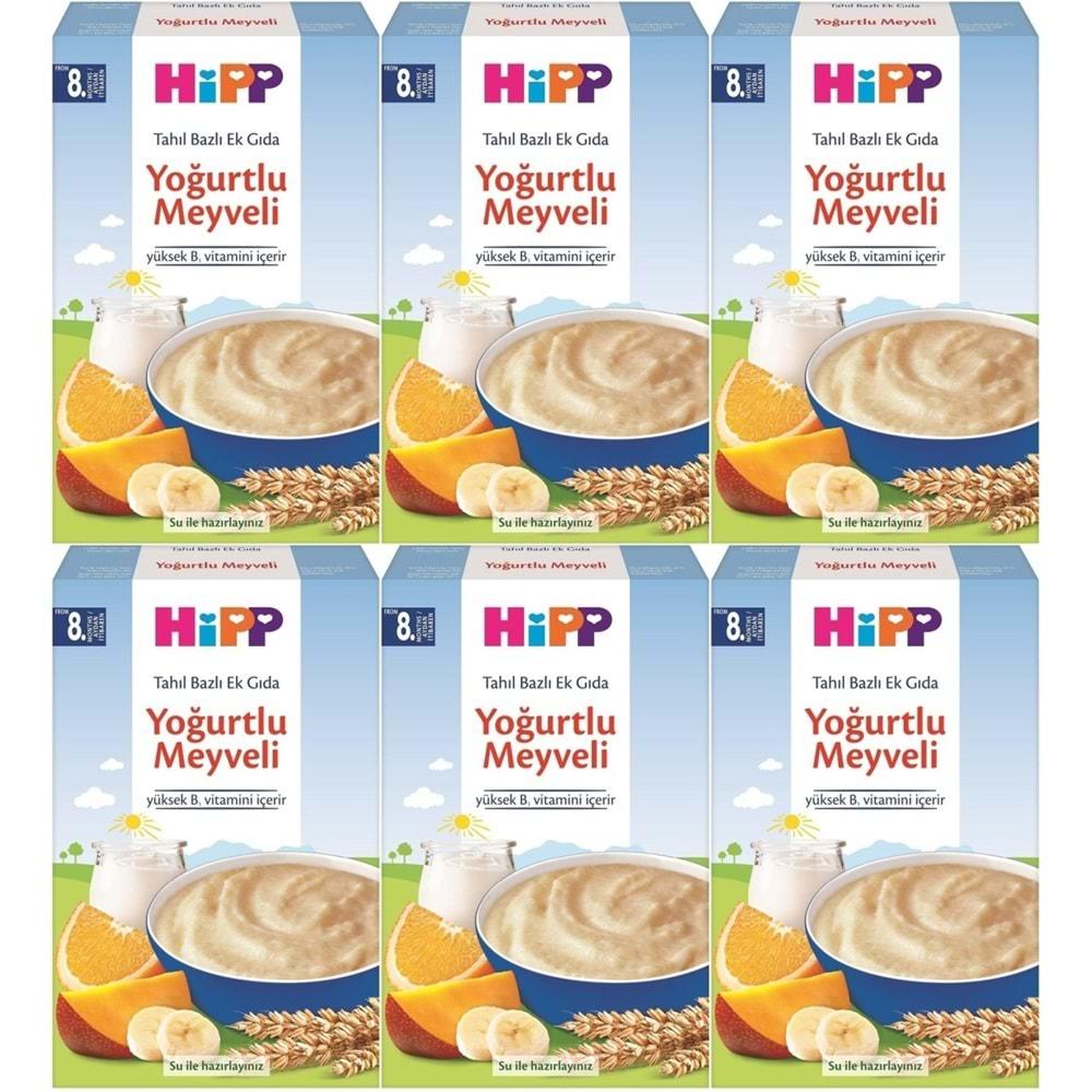 Hipp Organik Sütlü Yoğurtlu Meyveli Kaşık Maması 250Gr (6 Lı Set)