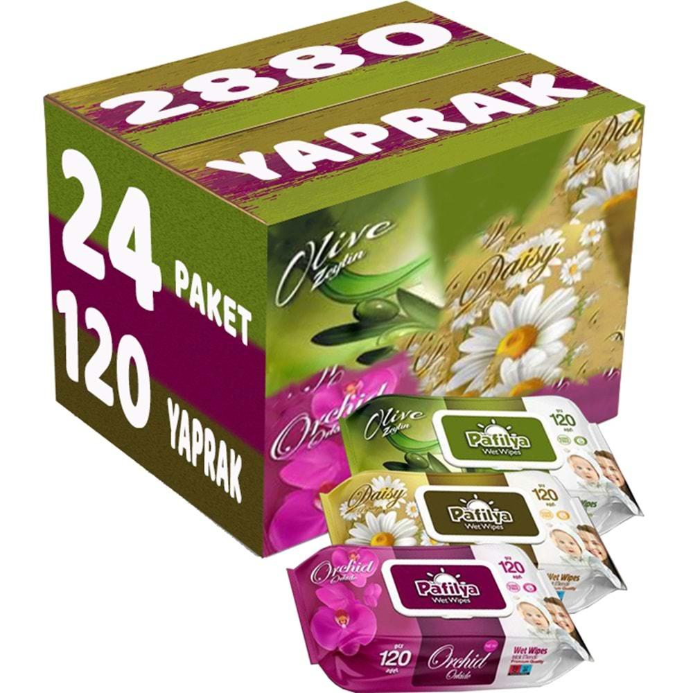 Pafilya Islak Havlu Mendil 120 Yaprak Karma 24 Lü Set (Zeytin-Papatya-Orkide) 2880 Yaprak
