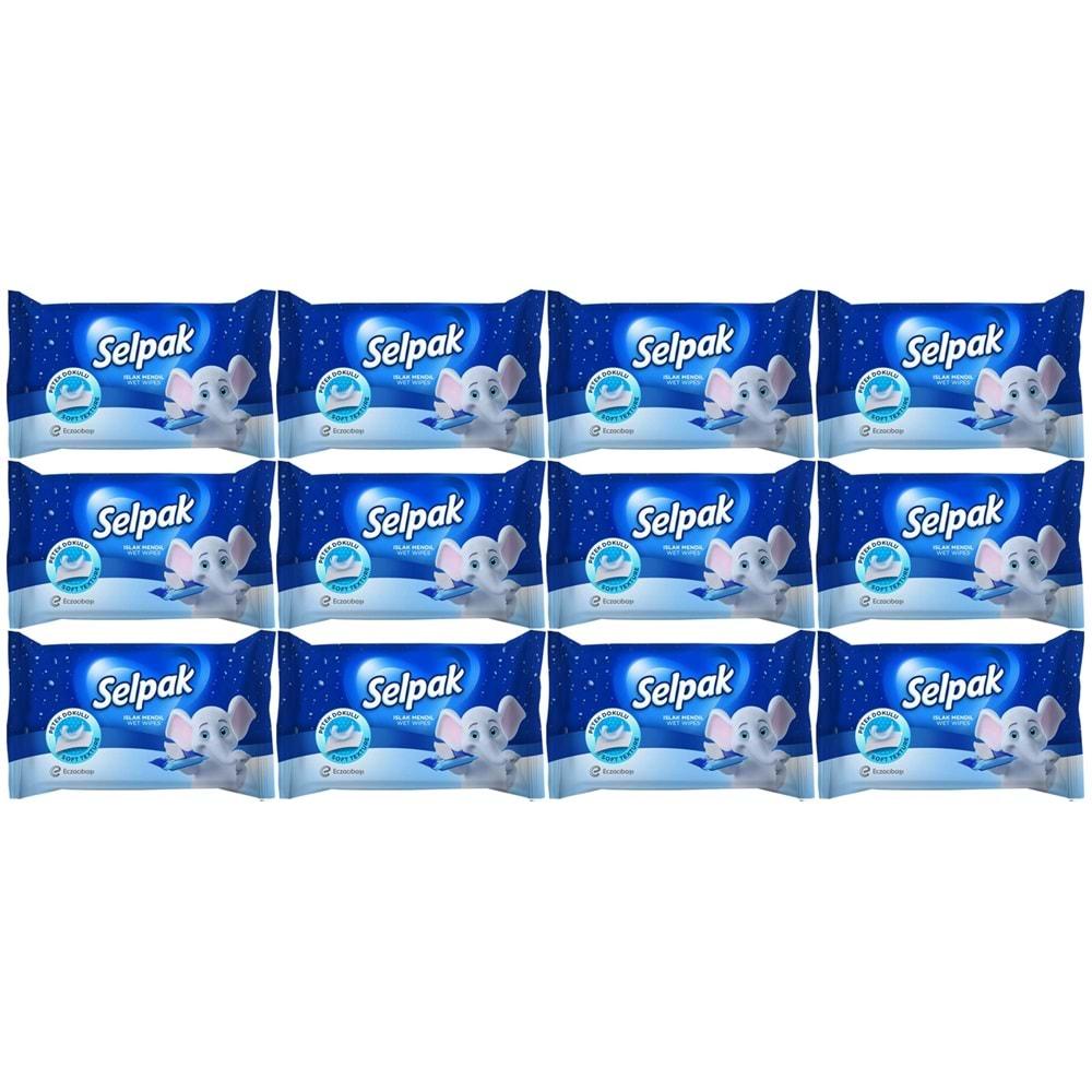 Selpak Islak Cep Mendil 10 Yaprak Klasik (12 Li Set)