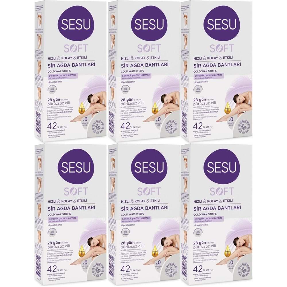 Sesu Sir Ağda Bandı 42 Li Pk Soft (6 Lı Set)