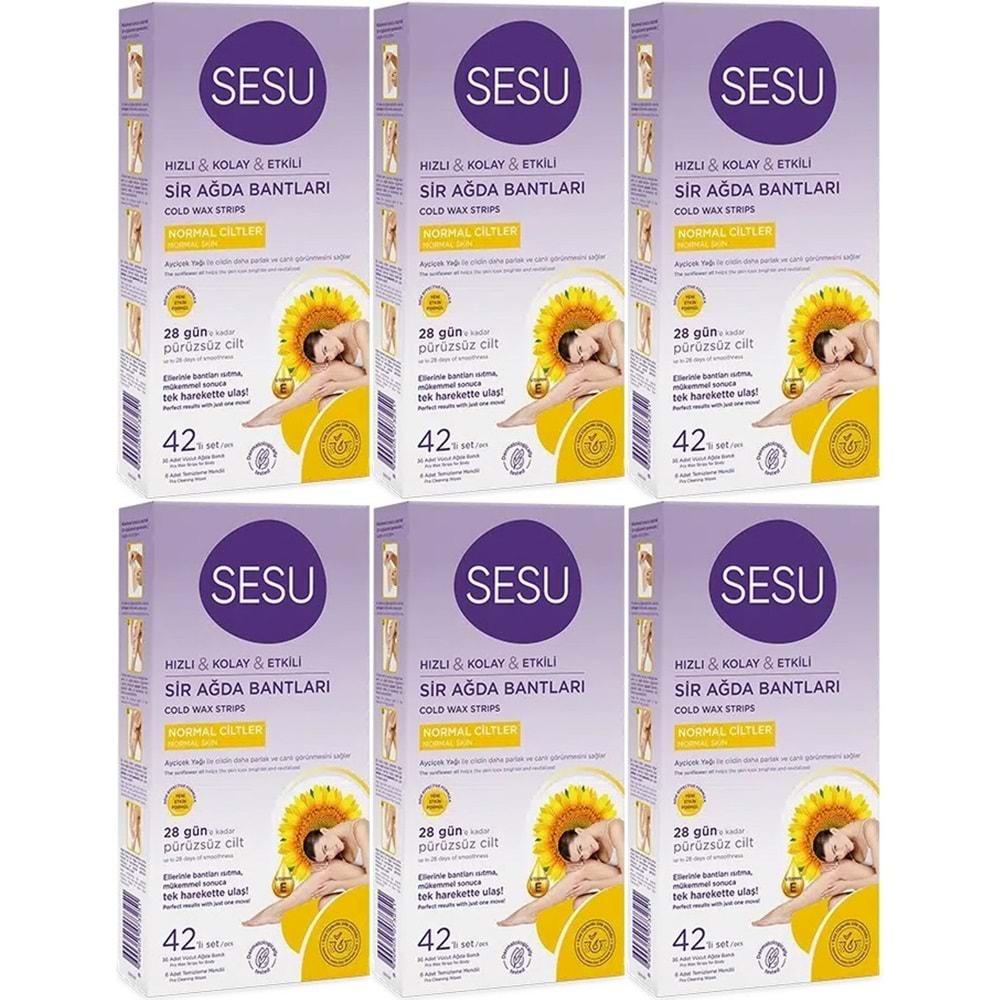 Sesu Sir Ağda Bandı 42 Li Pk Normal Ciltler (6 Lı Set)