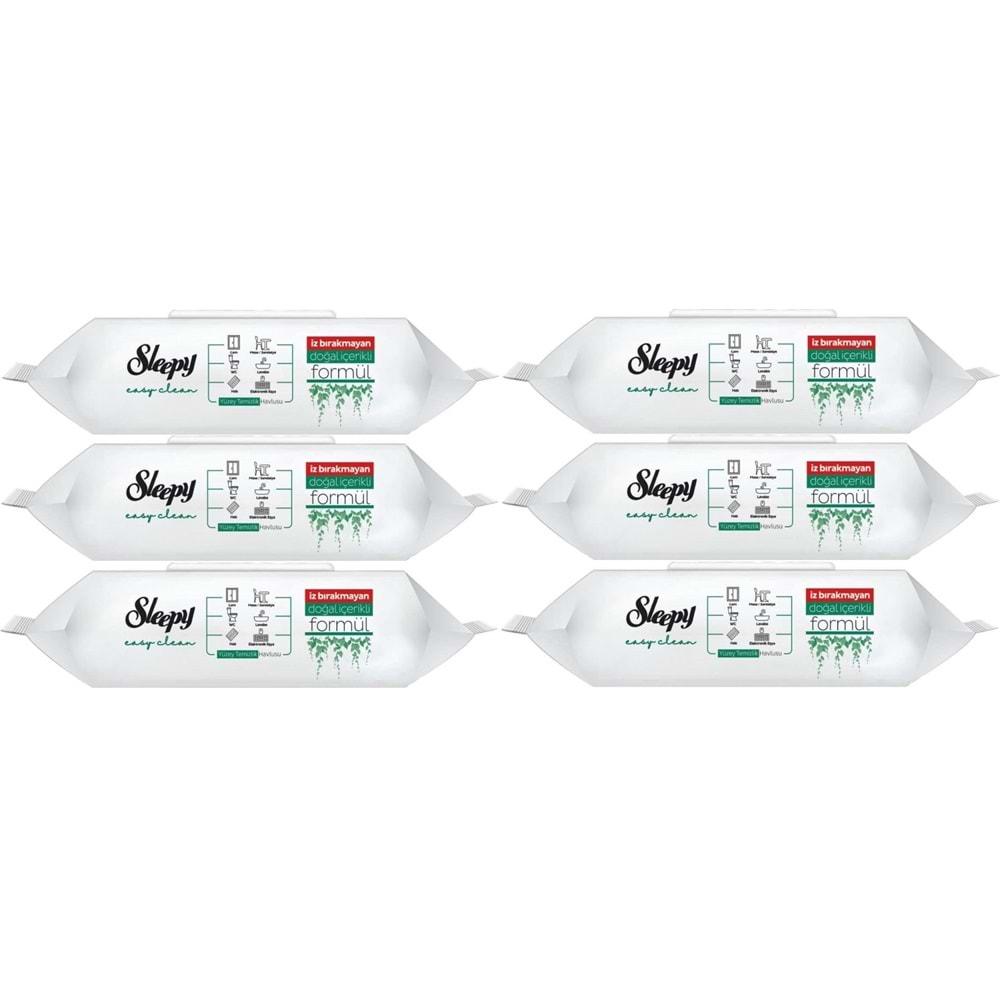 Sleepy Easy Clean Yüzey Temizlik Havlusu 100 Yaprak Plastik Kapaklı (6 Lı Set) 600 Yaprak