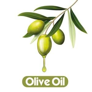 Baby Turco Islak Havlu Mendil 90 Yaprak Zeytinyağlı 18 Li Set 1620 Yaprak Plastik Kapaklı