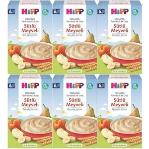 Hipp Organik Sütlü Meyveli Tahıl Bazlı Kaşık Maması 250Gr (6 Lı Set)