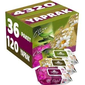 Pafilya Islak Havlu Mendil 120 Yaprak Karma 36 Lı Set (Zeytin-Papatya-Orkide) 4320 Yaprak