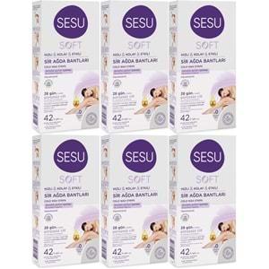 Sesu Sir Ağda Bandı 42 Li Pk Soft (6 Lı Set)