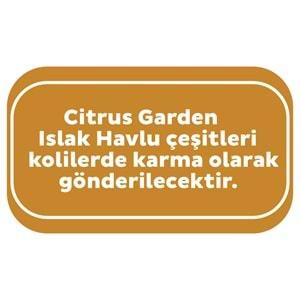 Sleepy Islak Havlu Mendil Meyve Çeşitleri 90 Yaprak (18 Li Set) Plastik Kapaklı (Citrus Garden)