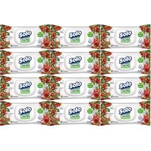 Solo Islak Havlu Mendil 50 Yaprak Elma Sirkesi & Karbonat (12 Li Set) (4PK*3) 600 Yaprak