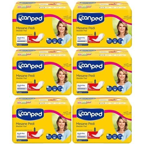 Canped Mesane Pedi Klasik L - Large - Büyük Boy 60 Adet