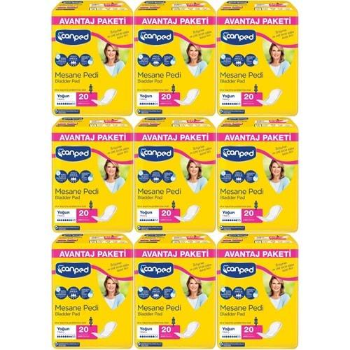 Canped Mesane Pedi Avantaj Pk Klasik L-Büyük Boy Yoğun 180 Adet