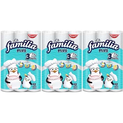 Familia Kağıt Havlu Plus 36 Lı Pk (3 Katlı) (3PK*12)