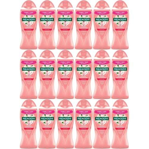 Palmolive Duş Jeli 750ML Aroma Sensations/Aroma Duyguları (18 Li Set)