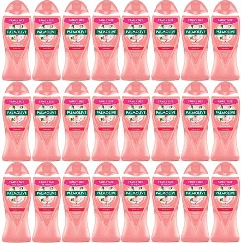 Palmolive Duş Jeli 750ML Aroma Sensations/Aroma Duyguları (24 Lü Set)
