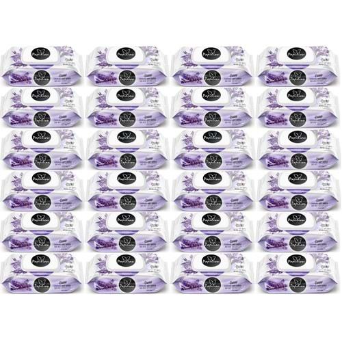 Papilion Islak Havlu Mendil 100 Yaprak Lavanta (24 Lü Set) 2400 Yaprak