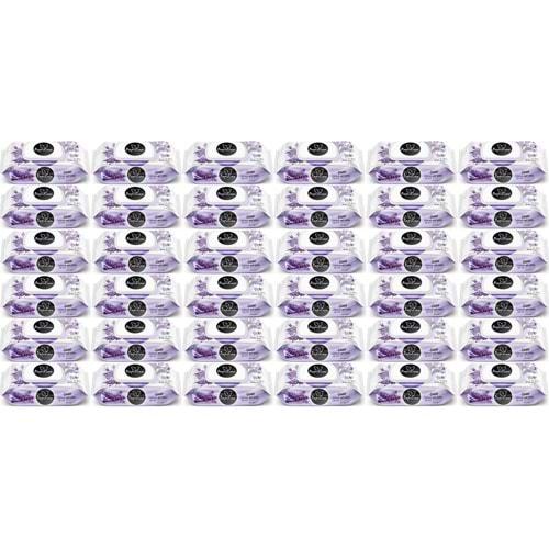 Papilion Islak Havlu Mendil 100 Yaprak Lavanta (36 Lı Set) 3600 Yaprak