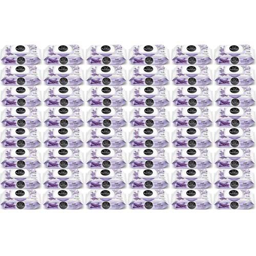 Papilion Islak Havlu Mendil 100 Yaprak Lavanta (48 Li Set) 4800 Yaprak