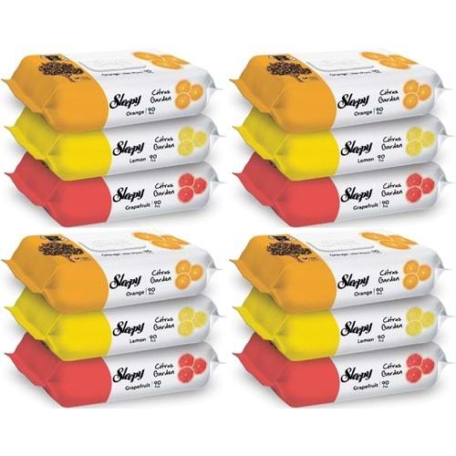 Sleepy Islak Havlu Mendil Meyve Çeşitleri 90 Yaprak (12 Li Set) Plastik Kapaklı (Citrus Garden)