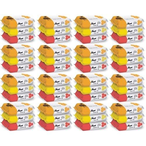 Sleepy Islak Havlu Mendil Meyve Çeşitleri 90 Yaprak (48 Li Set) Plastik Kapaklı (Citrus Garden)