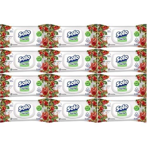 Solo Islak Havlu Mendil 50 Yaprak Elma Sirkesi & Karbonat (12 Li Set) (4PK*3) 600 Yaprak