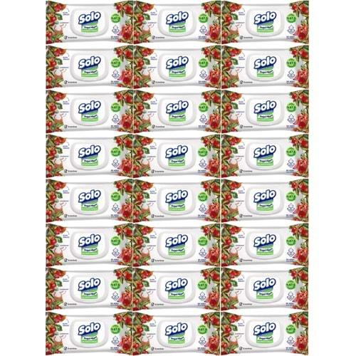 Solo Islak Havlu Mendil 50 Yaprak Elma Sirkesi & Karbonat (24 Lü Set) (8PK*3) 1200 Yaprak