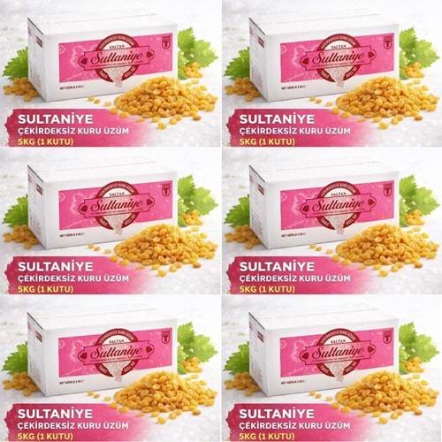 Tariş Sultaniye Çekirdeksiz Kuru Üzüm 30KG (6PK*5KG)